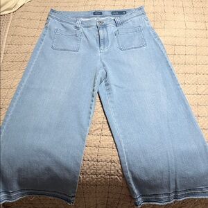 J. Jill Light Blue Wide-Leg Crop Jeans